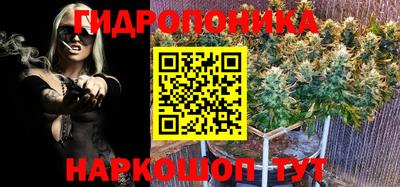прущая мука Пугачёв