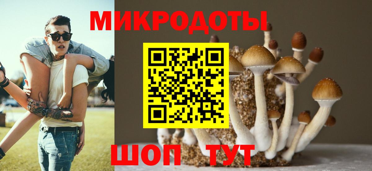 Галлюциногенные грибы GOLDEN TEACHER Похвистнево